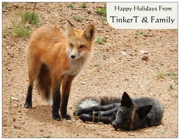 TinkerT Holiday Pic